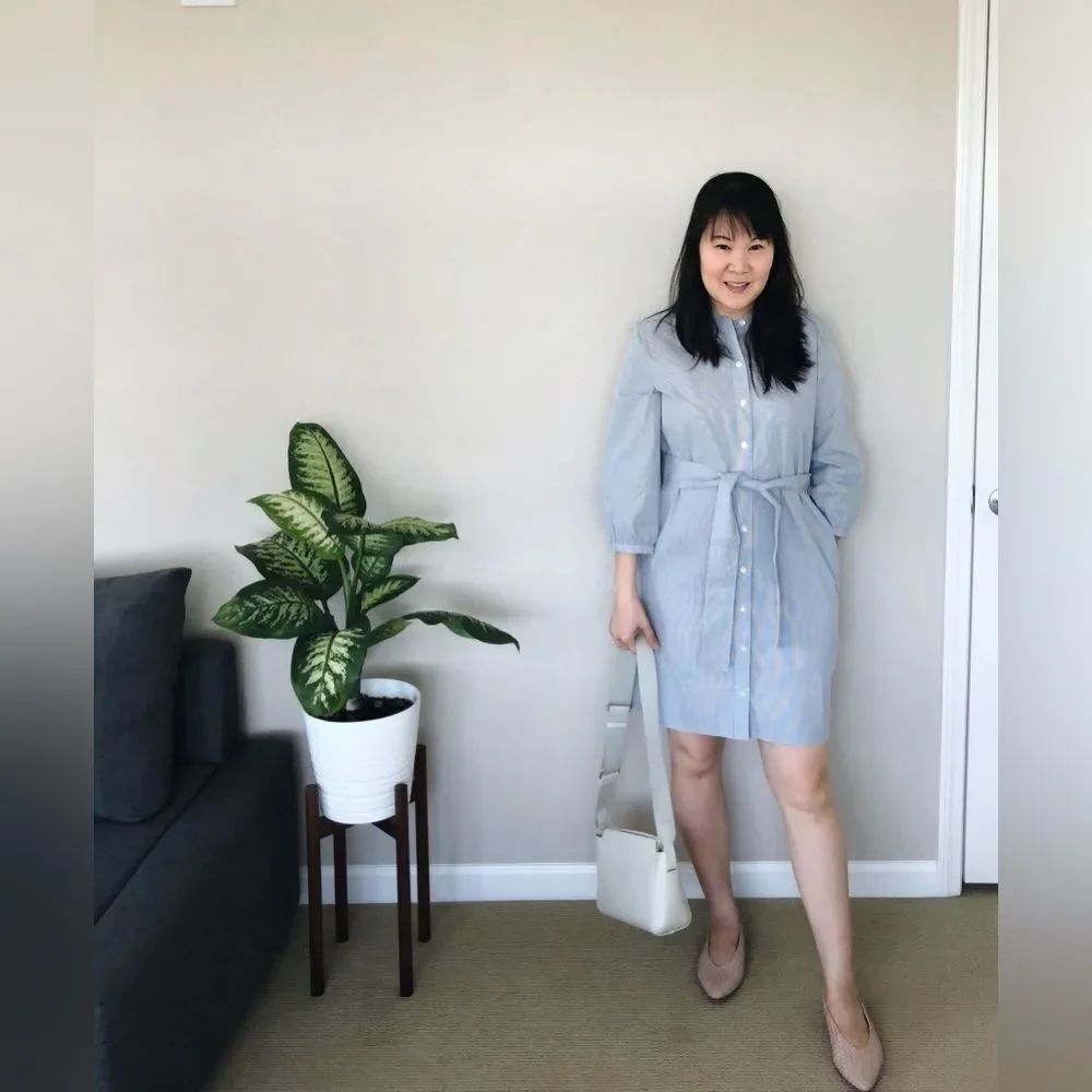 NEW Everlane The Cotton Weave Collarless
Shirtdress Size 10